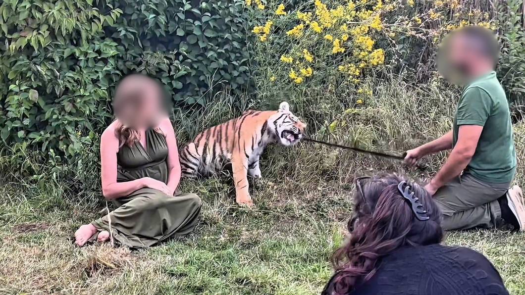 Die Tierschutzorganisation VETO veröffentlichte Aufnahmen von einem sogenannten Wildtiershooting in Wachtberg-Berkum, das Ende August stattfand.