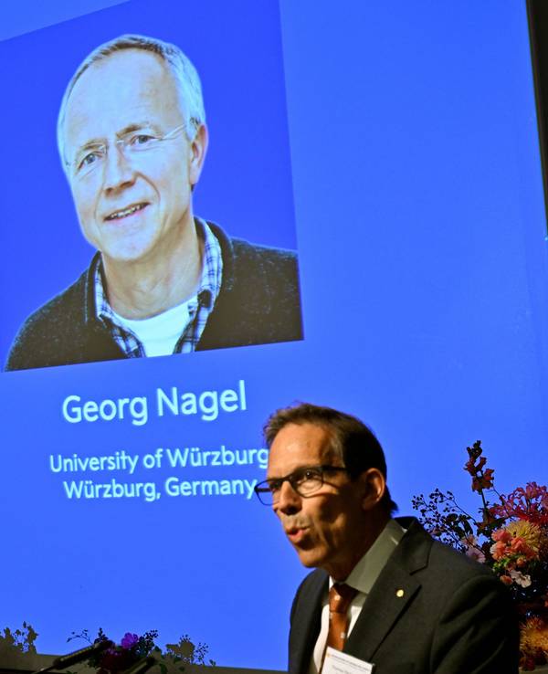 Karl Deisseroth, Peter Hegemann und Georg Nagel sind auf dem Bildschirm zu sehen, als ihnen der Nobelpreis für Physiologie oder Medizin 2026 verliehen wird.