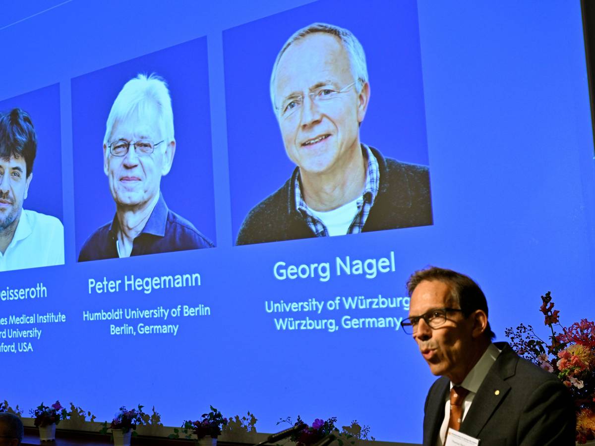 Karl Deisseroth, Peter Hegemann und Georg Nagel sind auf dem Bildschirm zu sehen, als ihnen der Nobelpreis für Physiologie oder Medizin 2026 verliehen wird.