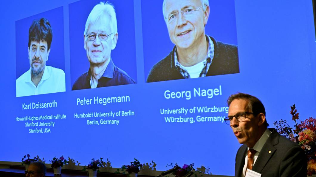 Karl Deisseroth, Peter Hegemann und Georg Nagel sind auf dem Bildschirm zu sehen, als ihnen der Nobelpreis für Physiologie oder Medizin 2026 verliehen wird.
