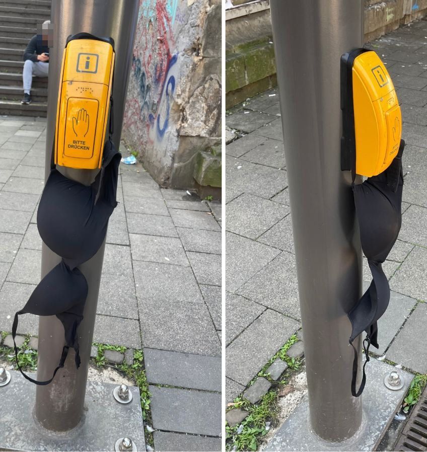 Ein BH hängt an einem KVB-Infomast auf der Zülpicher Straße.