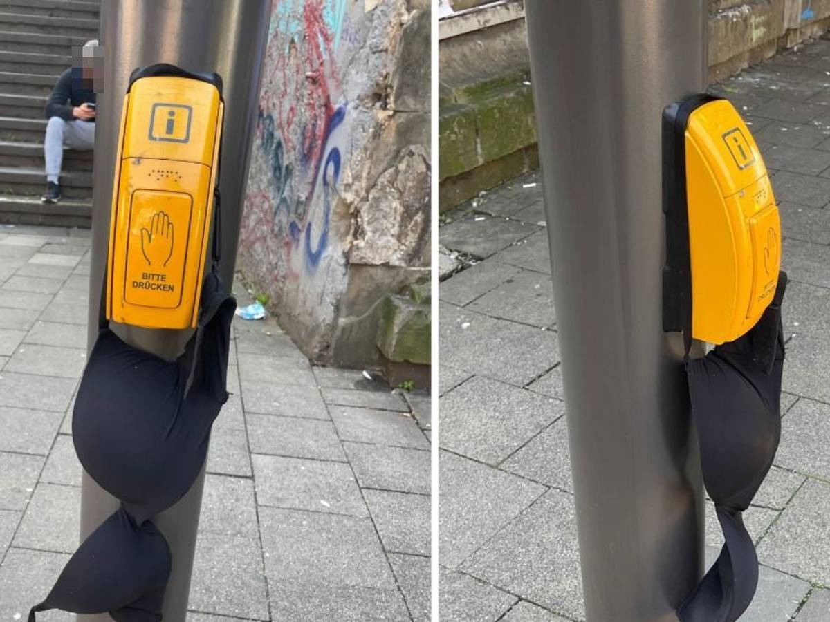 Ein BH hängt an einem KVB-Infomast auf der Zülpicher Straße.