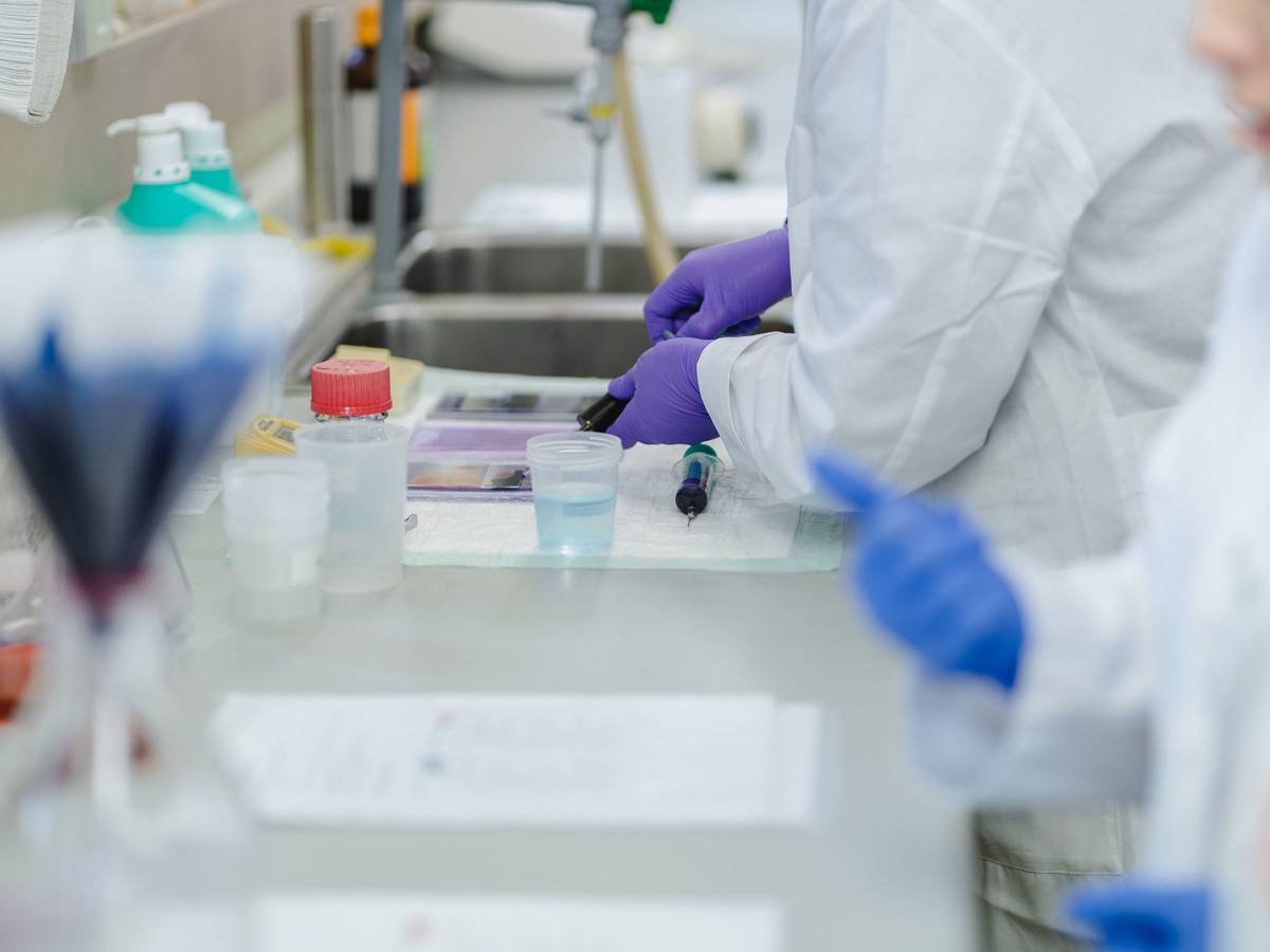 Teilnehmer eines Kurses über Malaria und andere Blutparasiten arbeiten mit Blutproben im Labor.