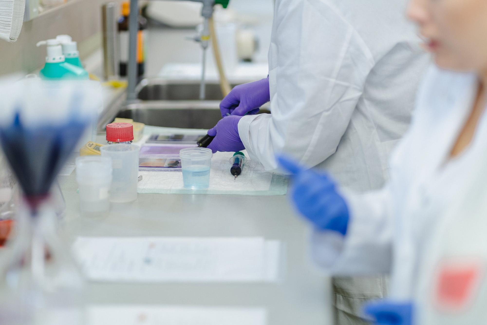 Teilnehmer eines Kurses über Malaria und andere Blutparasiten arbeiten mit Blutproben im Labor.