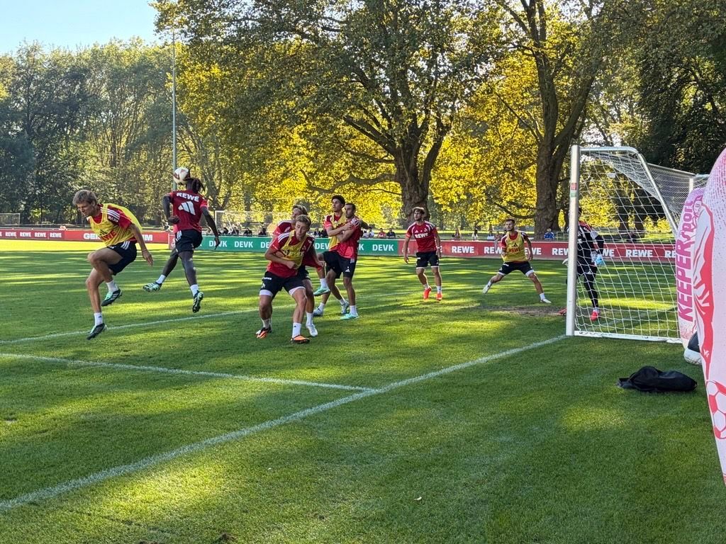 Standard-Training beim 1. FC Köln.