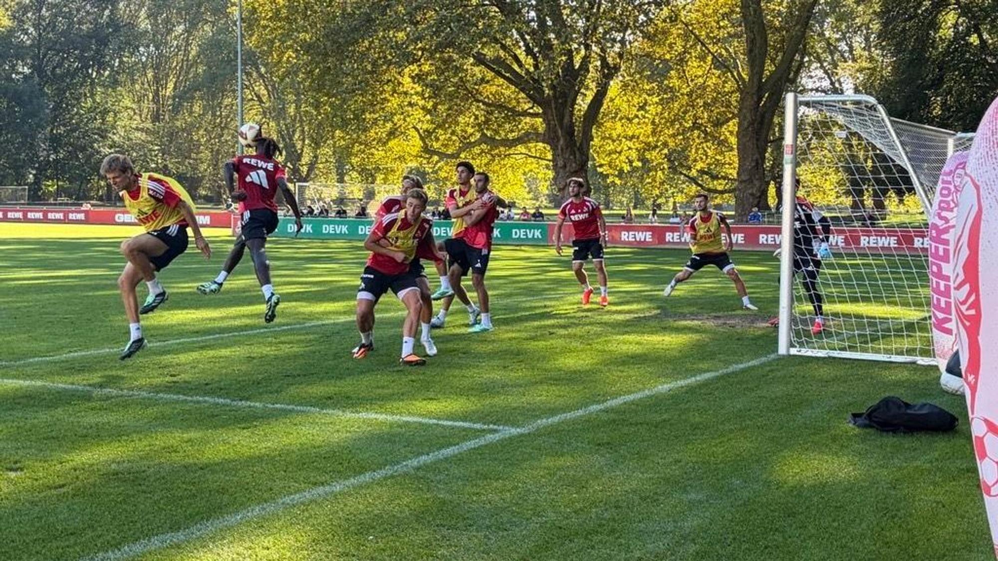 Standard-Training beim 1. FC Köln.
