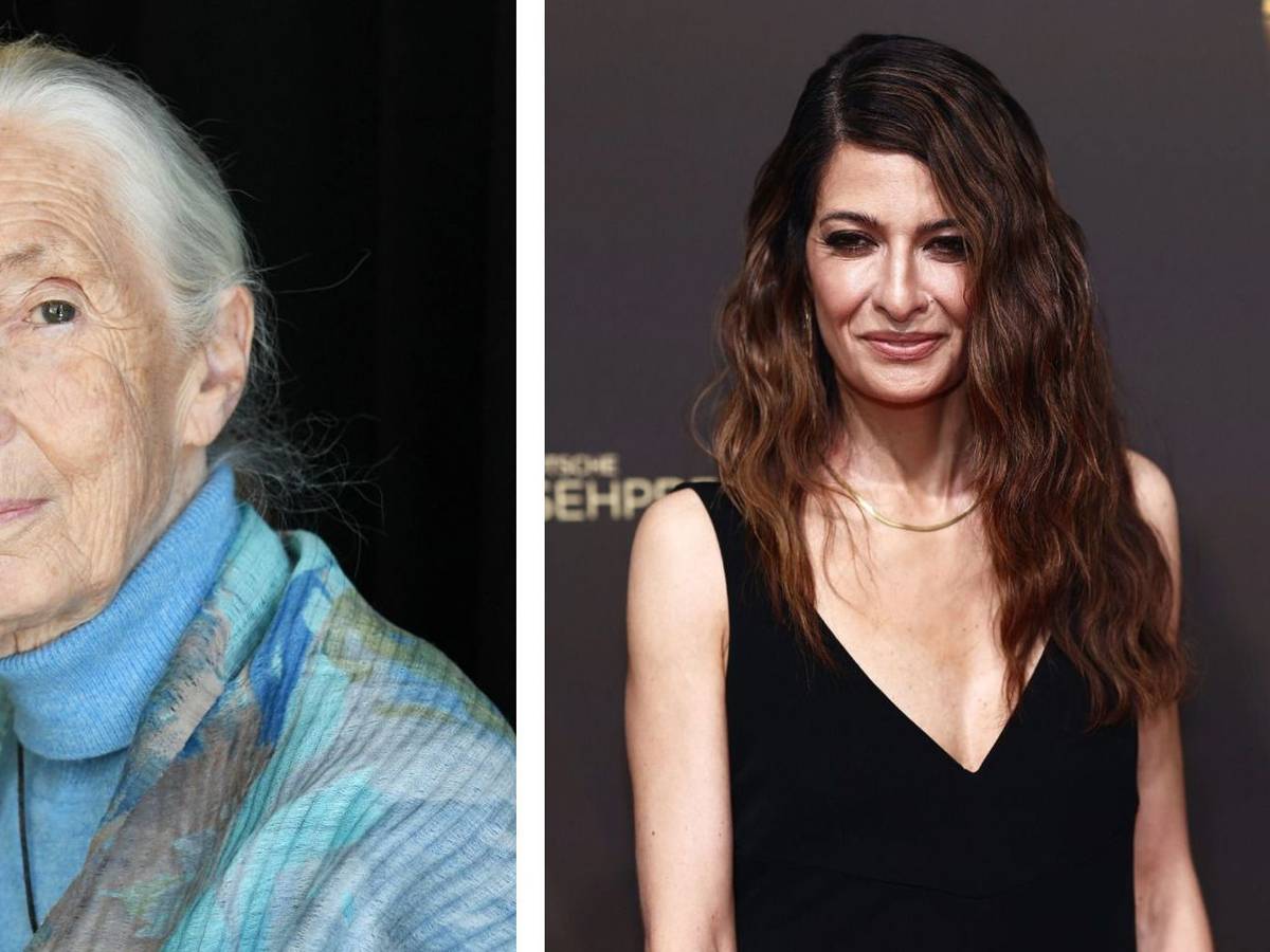 Jane Goodall (links) sprach mit Linda Zervakis über Hoffnung und Engagement. (Bild: Getty Images / Barritt / Sammer (Collage))