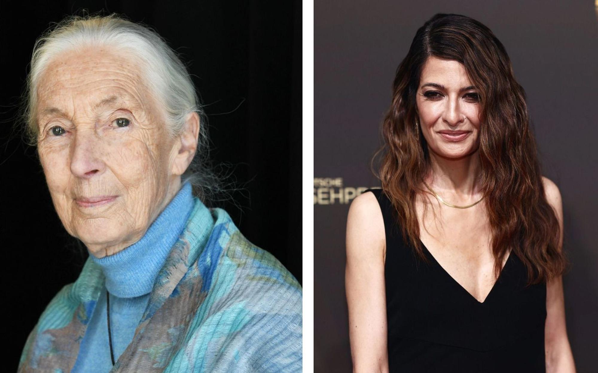 Jane Goodall (links) sprach mit Linda Zervakis über Hoffnung und Engagement. (Bild: Getty Images / Barritt / Sammer (Collage))
