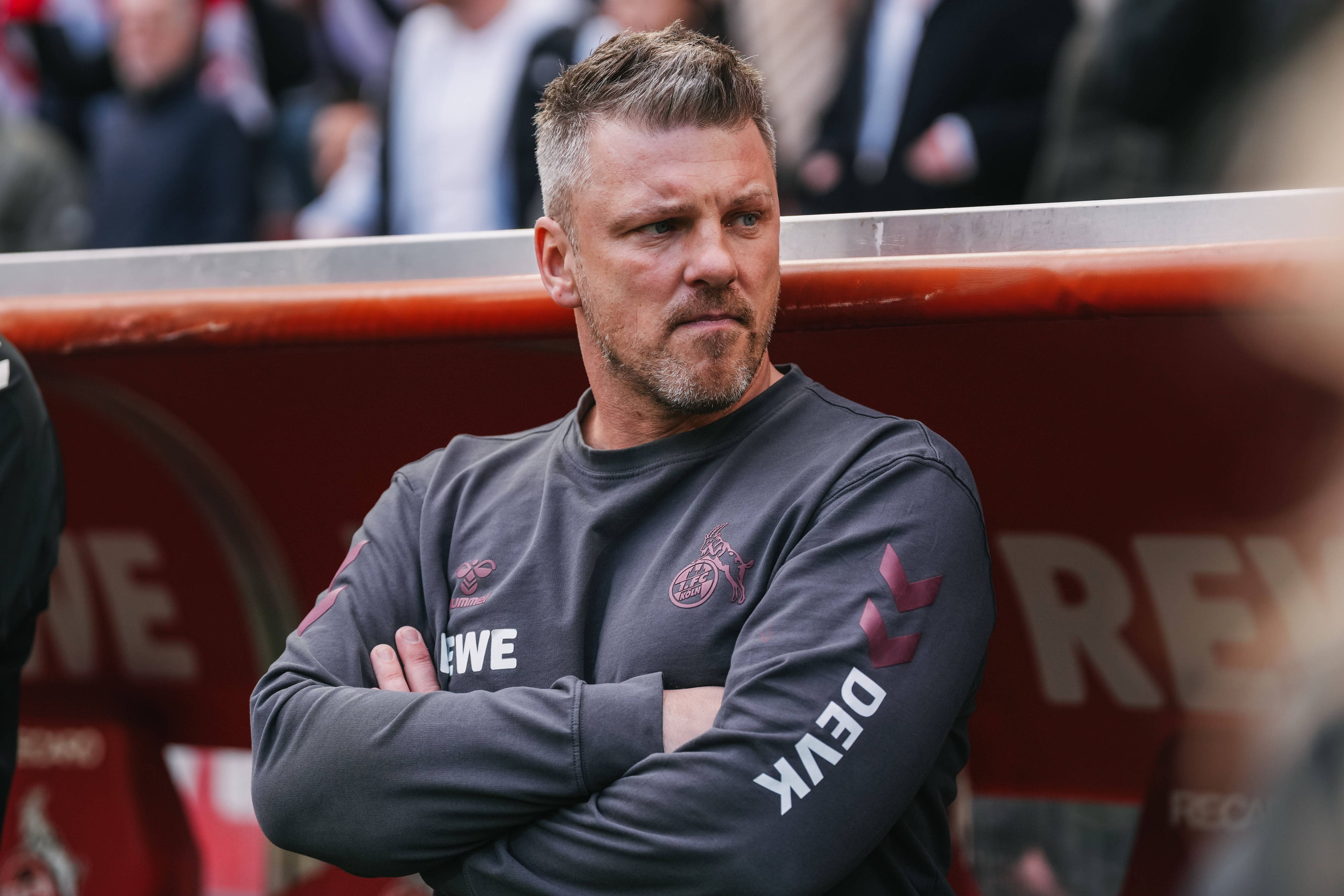 Lukas Kwasniok als Trainer des 1. FC Köln beim Spiel gegen Borussia Mönchengladbach