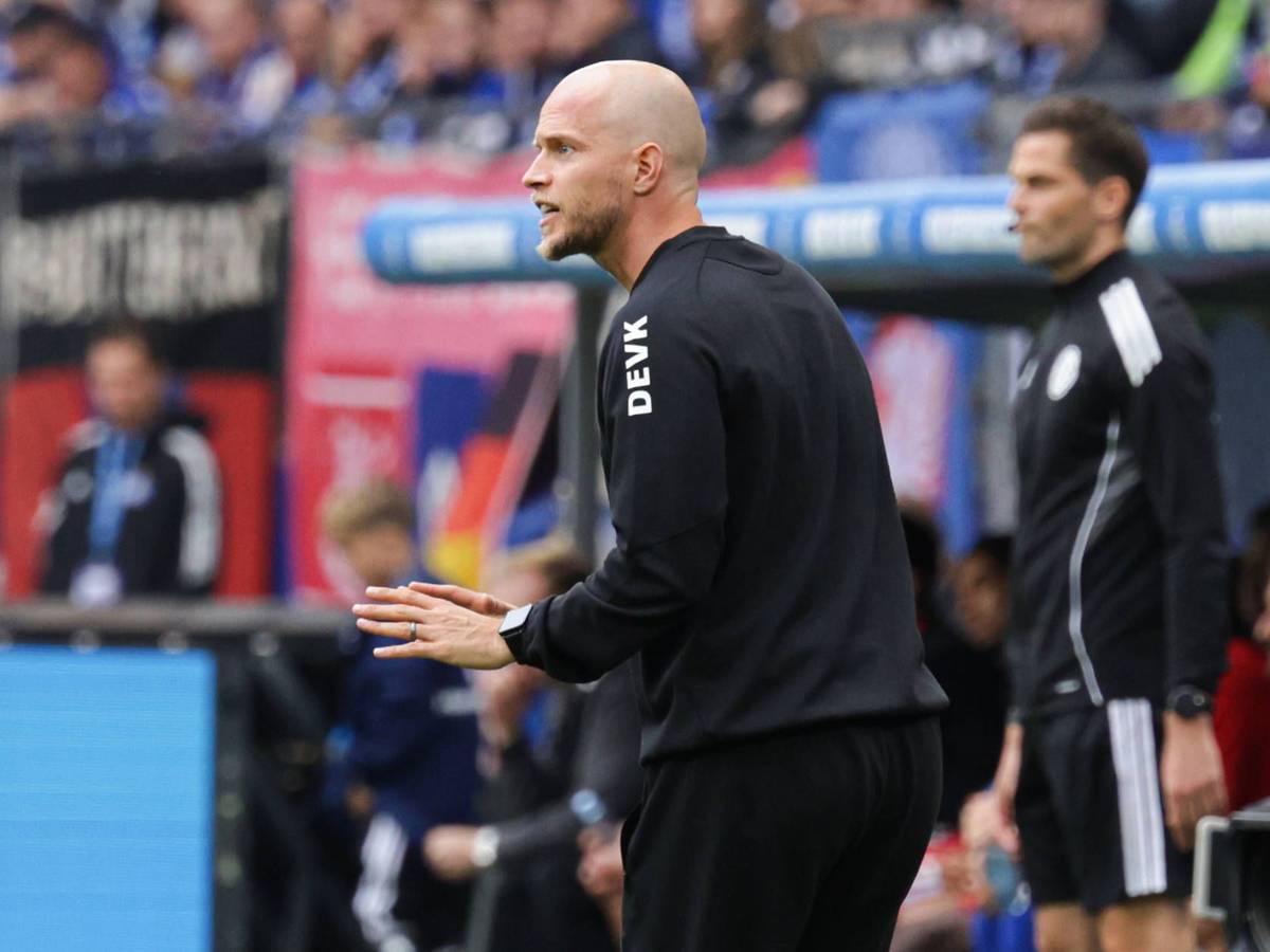 René Wagner beim Spiel gegen den HSV.