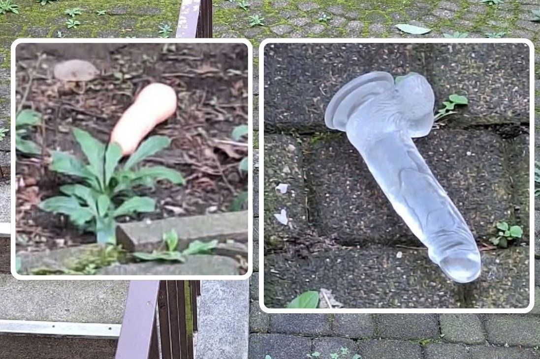 In Köln-Mülheim lagen plötzlich diese zwei Dildos im Hinterhof.