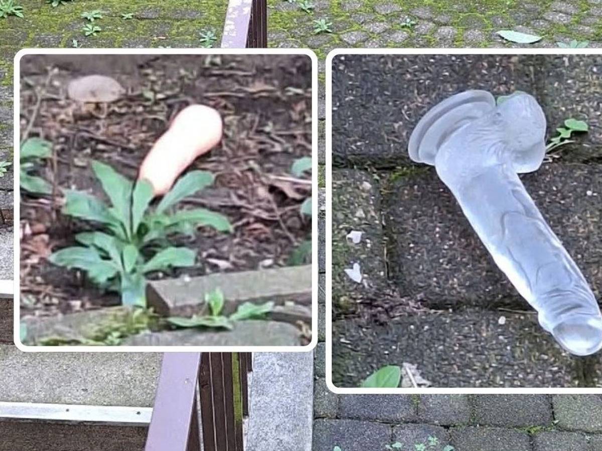 In Köln-Mülheim lagen plötzlich diese zwei Dildos im Hinterhof.