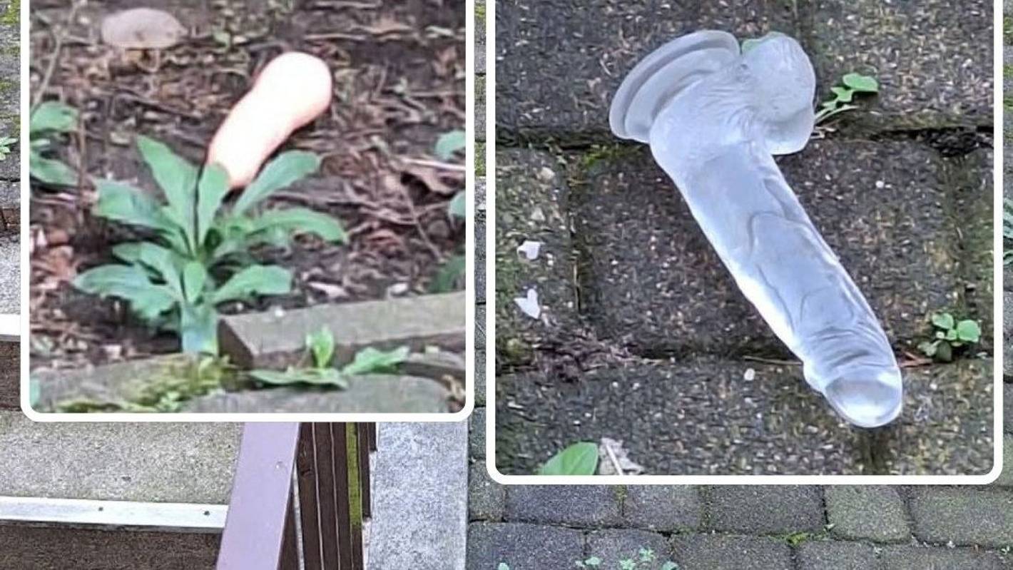 In Köln-Mülheim lagen plötzlich diese zwei Dildos im Hinterhof.