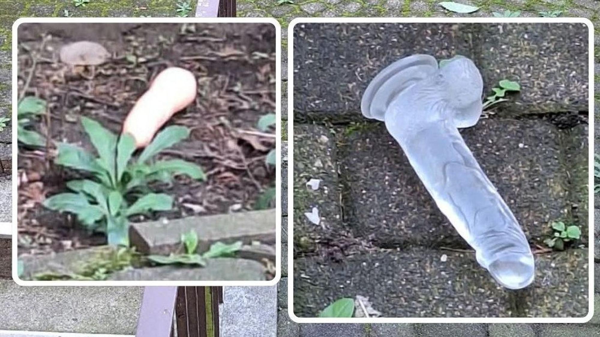 In Köln-Mülheim lagen plötzlich diese zwei Dildos im Hinterhof.