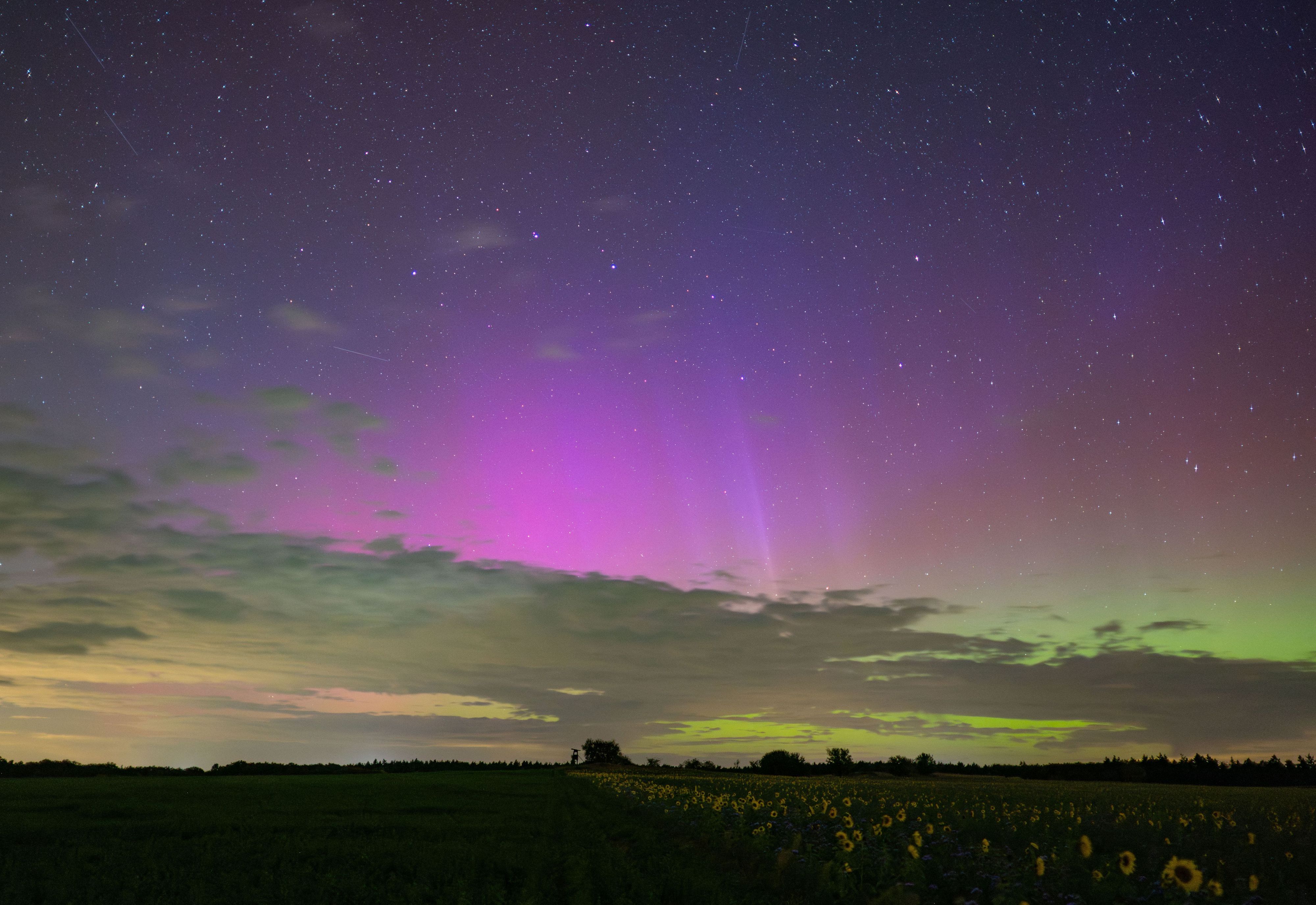 Polarlichter leuchten am Samstag am Nachthimmel über der Landschaft im östlichen Brandenburg. Auch über Nordrhein-Westfalen zeigte sich das farbenprächtige Himmelsschauspiel.