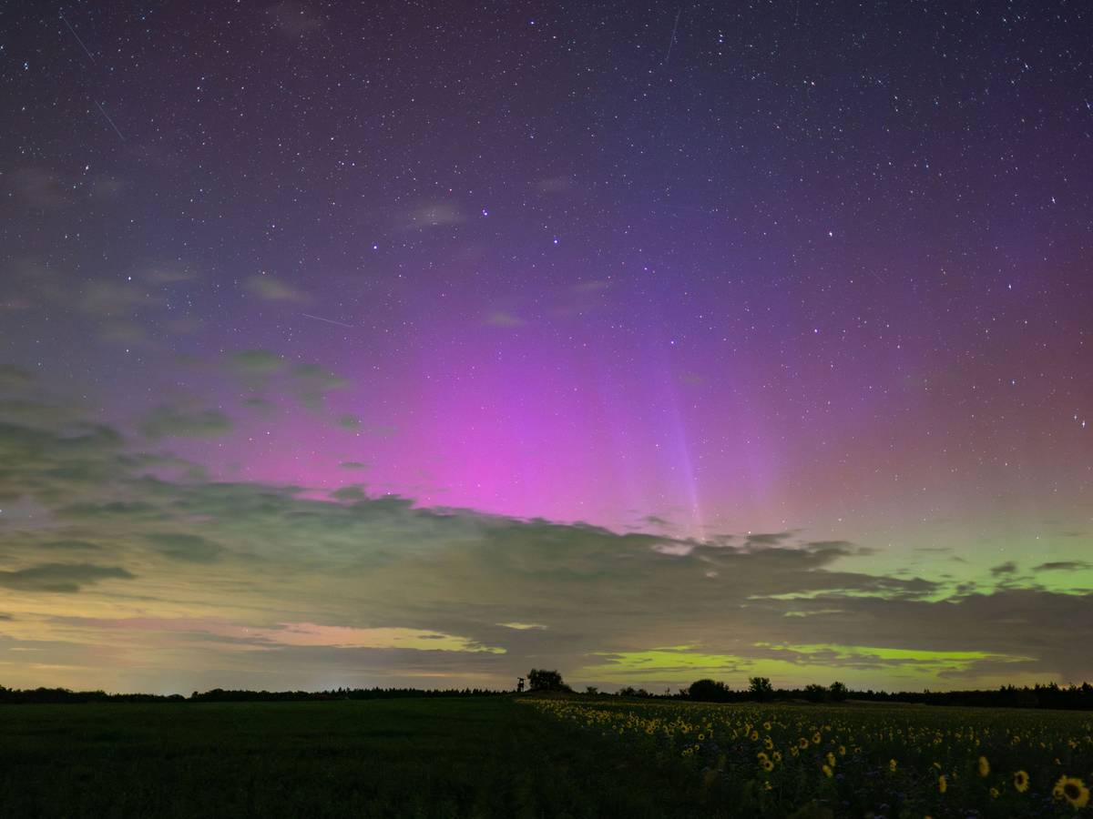 Polarlichter leuchten am Samstag am Nachthimmel über der Landschaft im östlichen Brandenburg. Auch über Nordrhein-Westfalen zeigte sich das farbenprächtige Himmelsschauspiel.