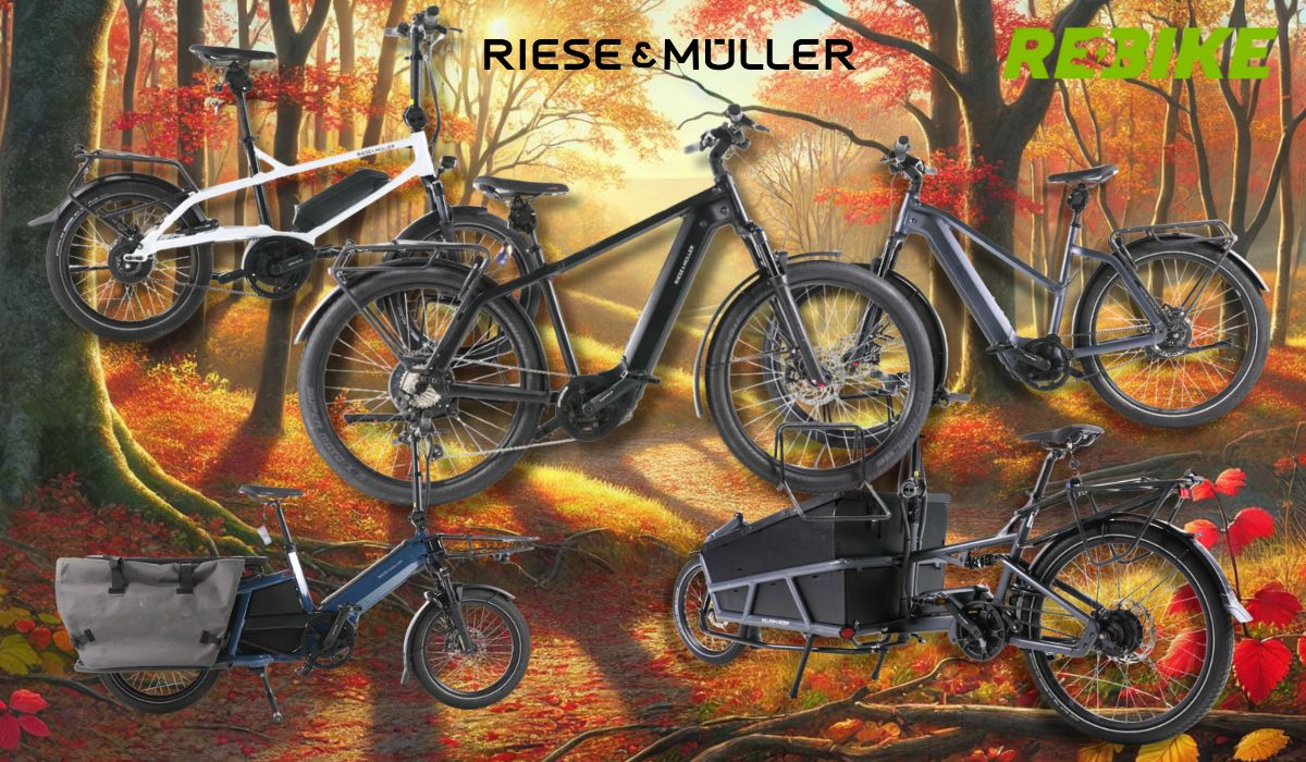 Riese & Müller E-Bike Modelle wie City-Bike, Mountian Bike und Lastenrad an einem sonnigen Tag vor einer Landstraße mit Wiesen, Feldern und Wald.