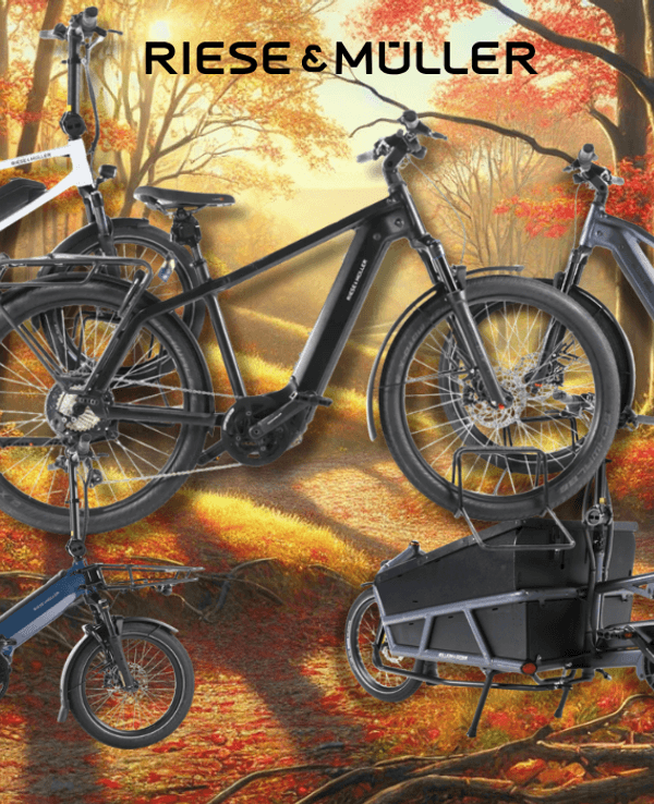 Riese & Müller E-Bike Modelle wie City-Bike, Mountian Bike und Lastenrad an einem sonnigen Tag vor einer Landstraße mit Wiesen, Feldern und Wald.
