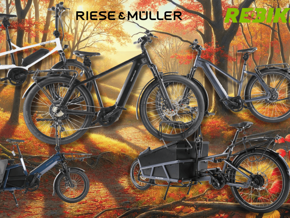Riese & Müller E-Bike Modelle wie City-Bike, Mountian Bike und Lastenrad an einem sonnigen Tag vor einer Landstraße mit Wiesen, Feldern und Wald.