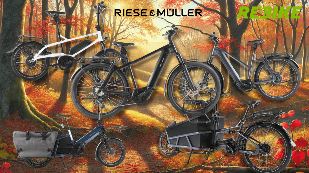 Riese & Müller E-Bike Modelle wie City-Bike, Mountian Bike und Lastenrad an einem sonnigen Tag vor einer Landstraße mit Wiesen, Feldern und Wald.