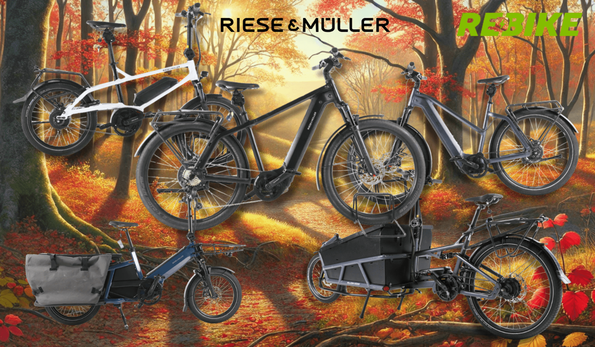 Riese & Müller E-Bike Modelle wie City-Bike, Mountian Bike und Lastenrad an einem sonnigen Tag vor einer Landstraße mit Wiesen, Feldern und Wald.