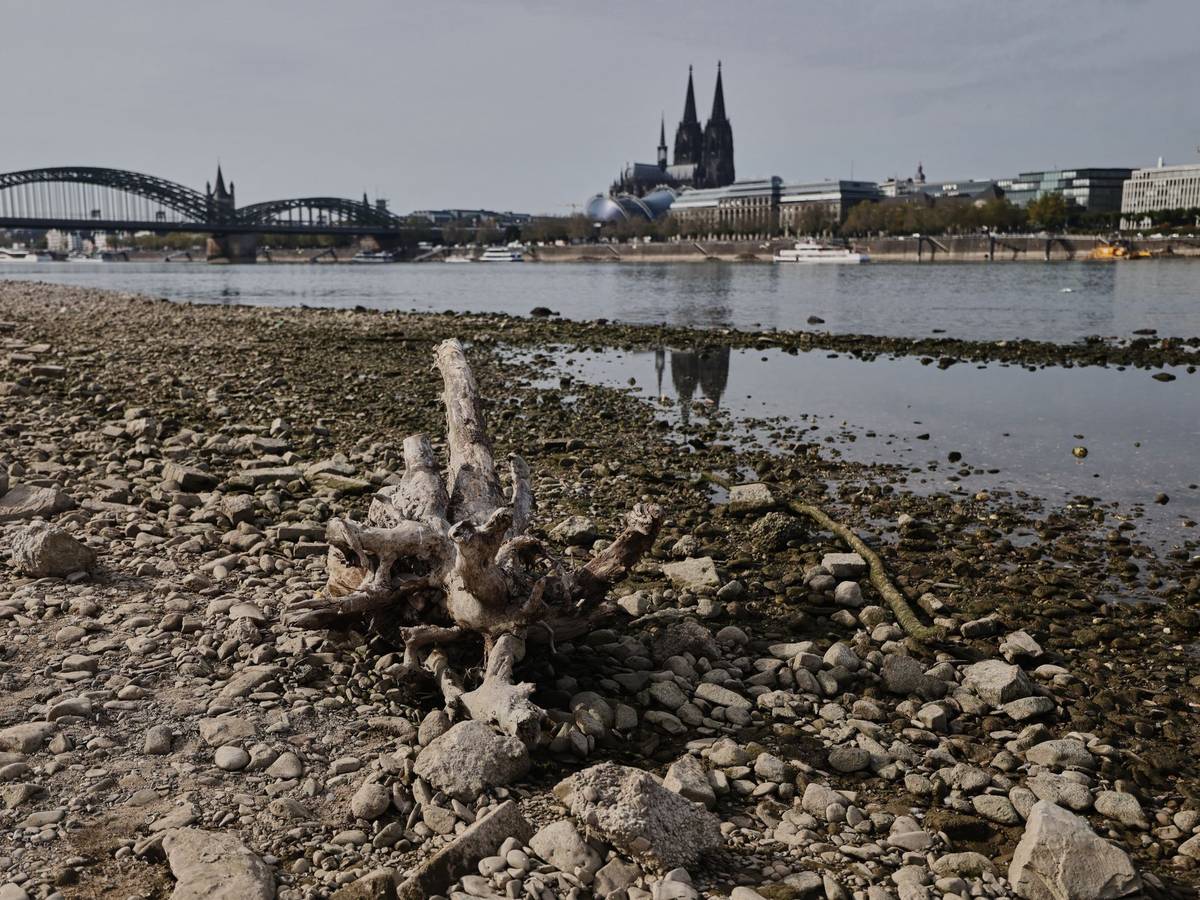 Niedrigwasser am Rhein in Köln