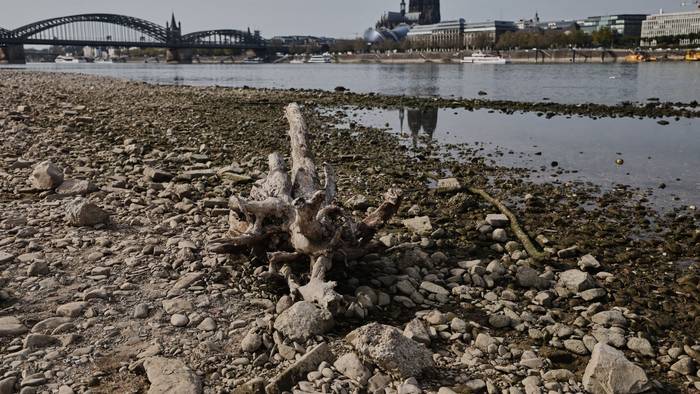 Niedrigwasser am Rhein in Köln