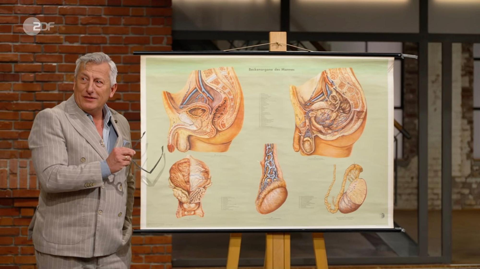 In der Montagsfolge der ZDF-Trödelshow „Bares für Rares“ mit Horst Lichter zog eine Schultafel jede Menge Aufmerksamkeit auf sich. Im Händlerraum taugte das alte Lehrmaterial für spontanen Aufklärungsunterricht. Dabei sorgten die männlichen Beckenorgane nicht nur für erstaunte Reaktionen, sondern auch einen erfreulichen Verkaufserlös. (Bild: ZDF)