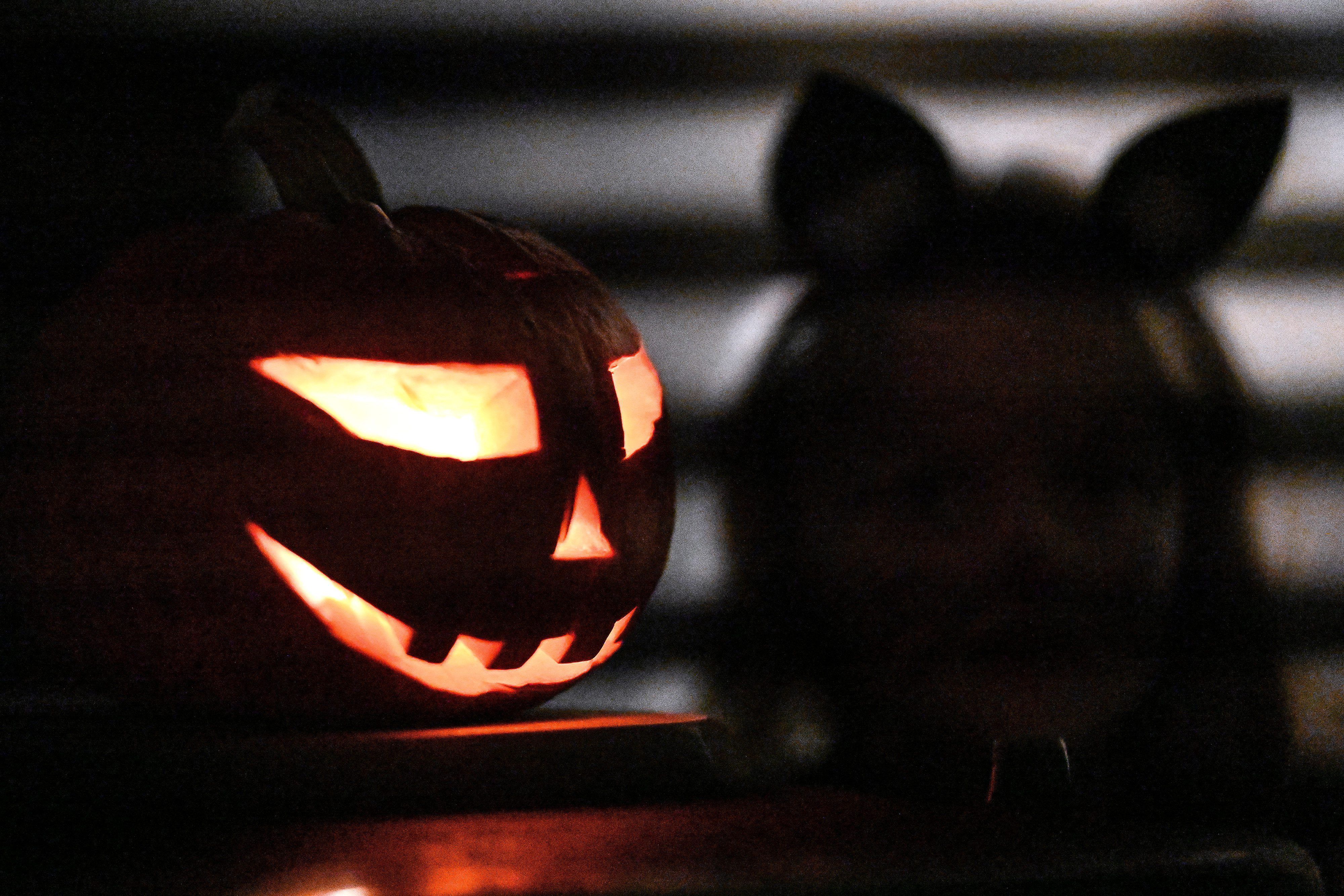 Ein Kürbis steht zu Halloween vor einem Haus.