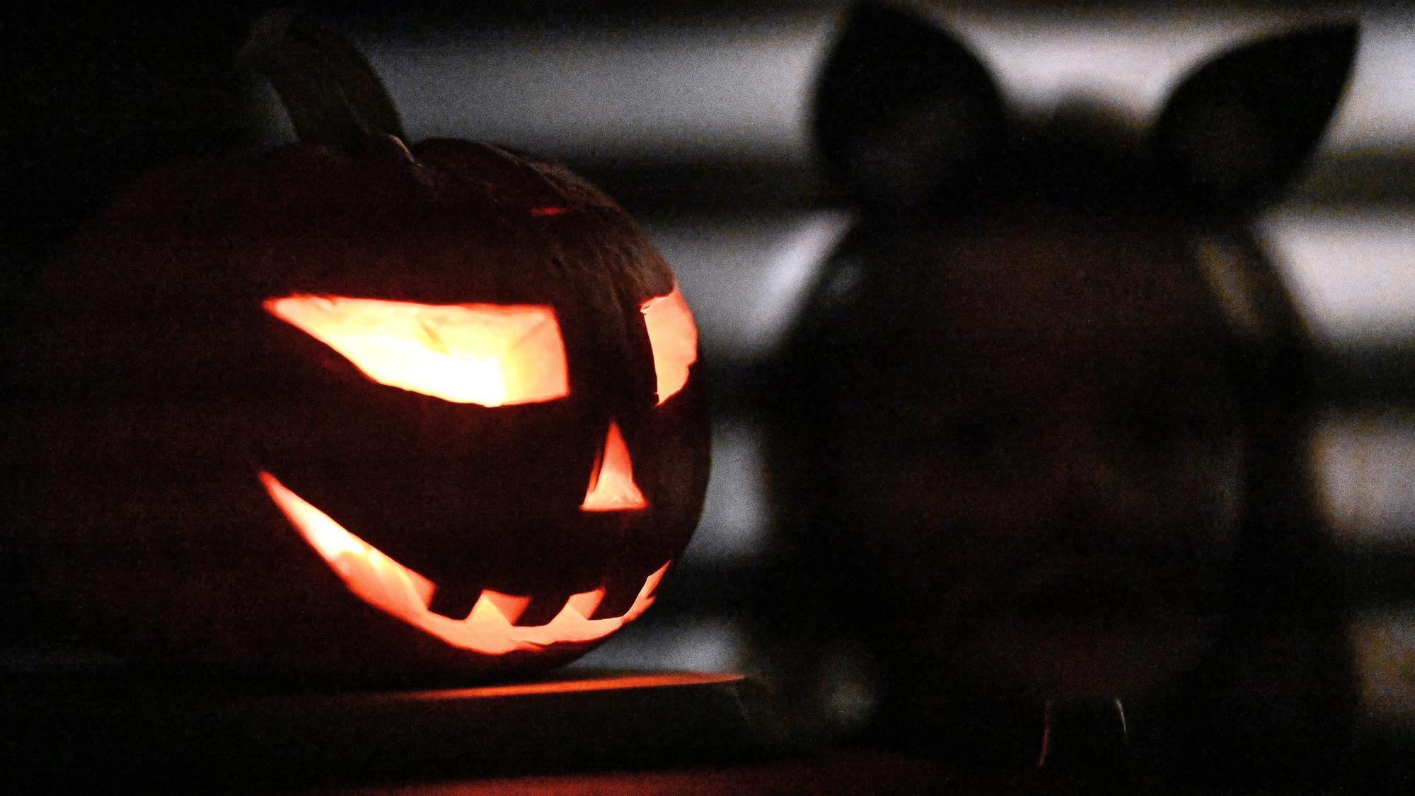 Ein Kürbis steht zu Halloween vor einem Haus.