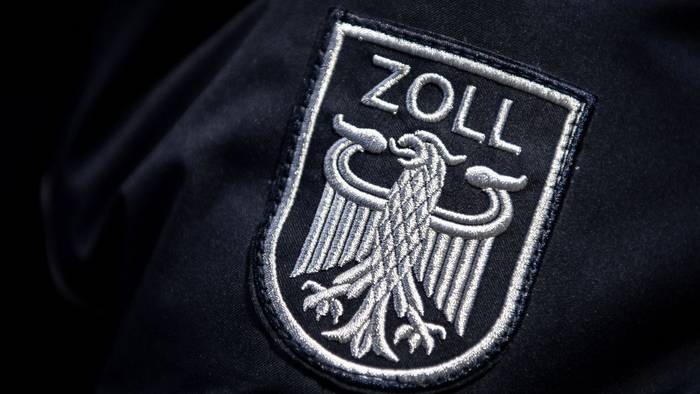 90 Giftschlangen und Echsen in Koffer aus Mexiko entdeckt