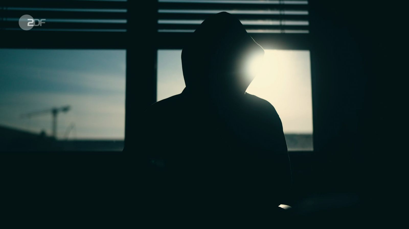 Ein anonymer „Insider“ behauptet im ZDF, rund 400.000 Menschen weltweit würden in seinem Auftrag Fake-Bewertunge abgeben. (Bild: ZDF)