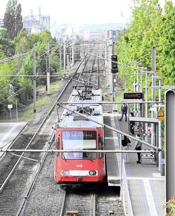 Eine Bahn der Linie 16 hält an einer Haltestelle.