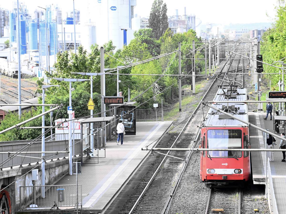 Eine Bahn der Linie 16 hält an einer Haltestelle.