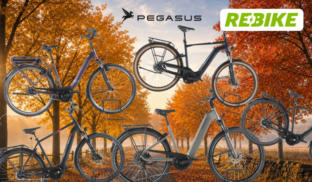 5 Pegasus Bikes vor einem Fahrradweg.