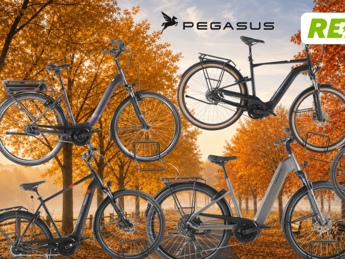 5 Pegasus Bikes vor einem Fahrradweg.