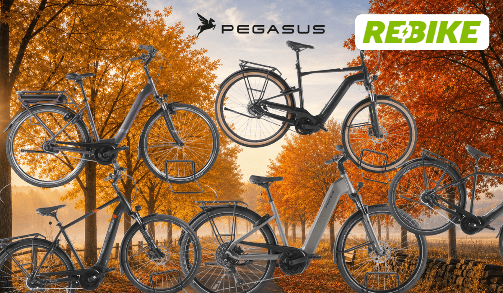 5 Pegasus Bikes vor einem Fahrradweg.