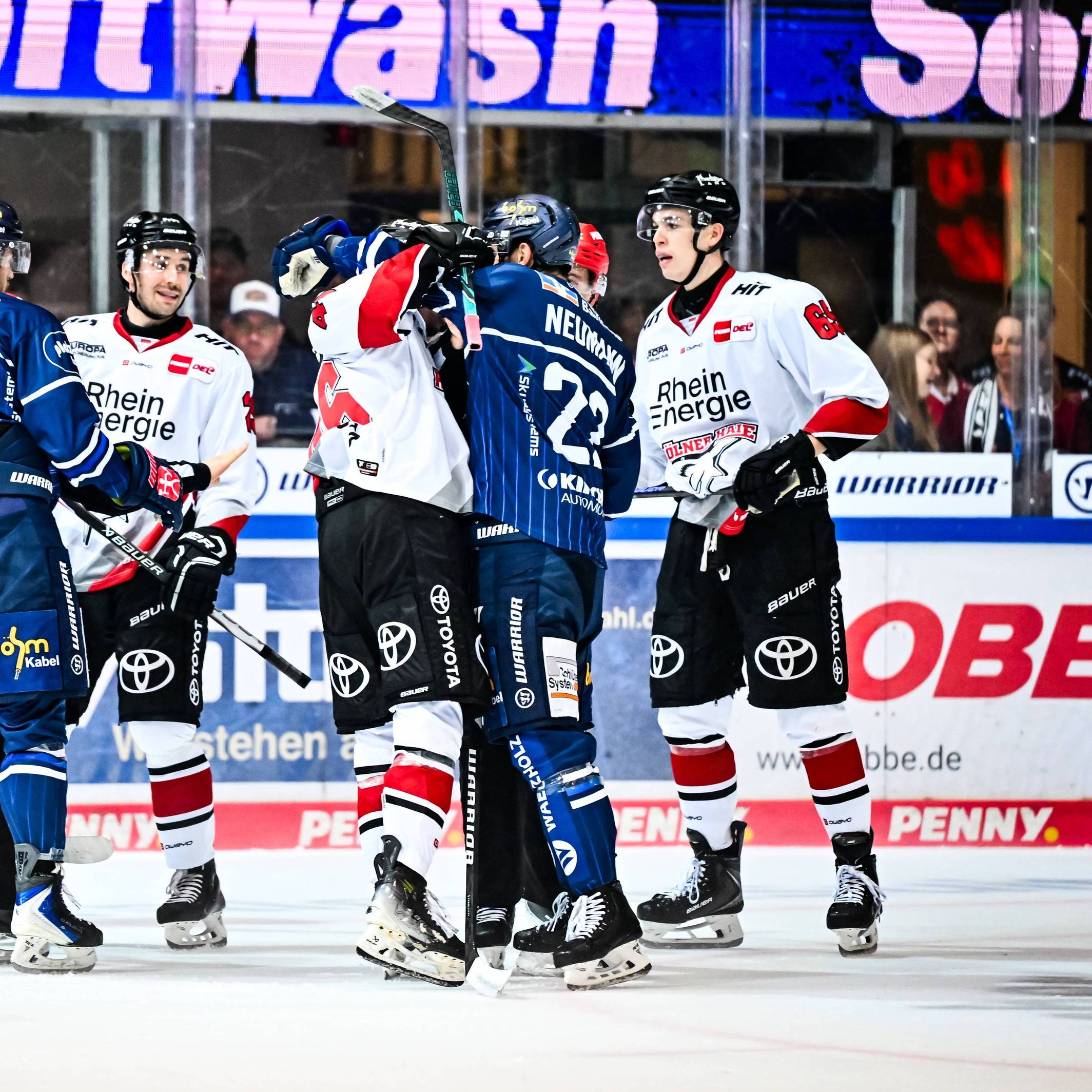 Uneinigkeiten bei den Spielern der Kölner Haie und der Iserlohn Roosters.