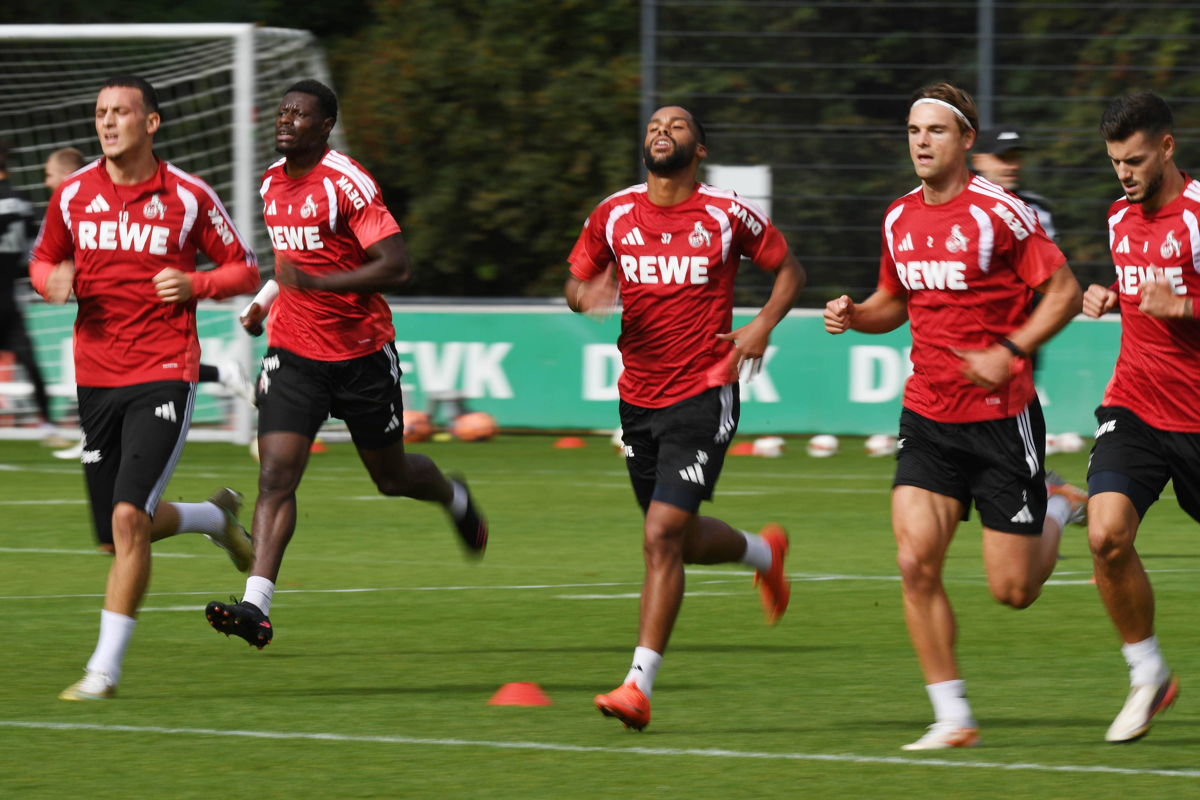Die Spieler des 1. FC Köln laufen im Training.