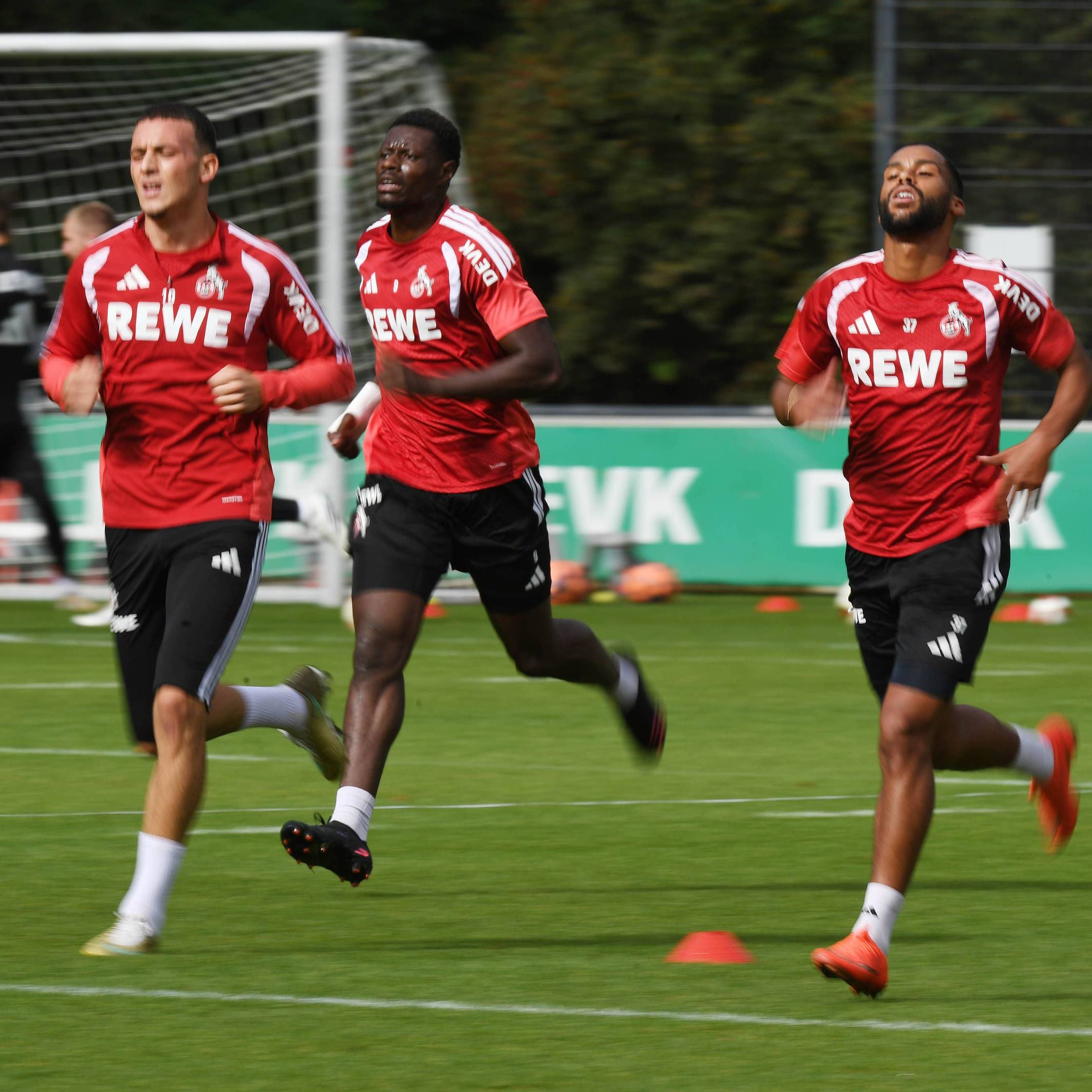 Die Spieler des 1. FC Köln laufen im Training.