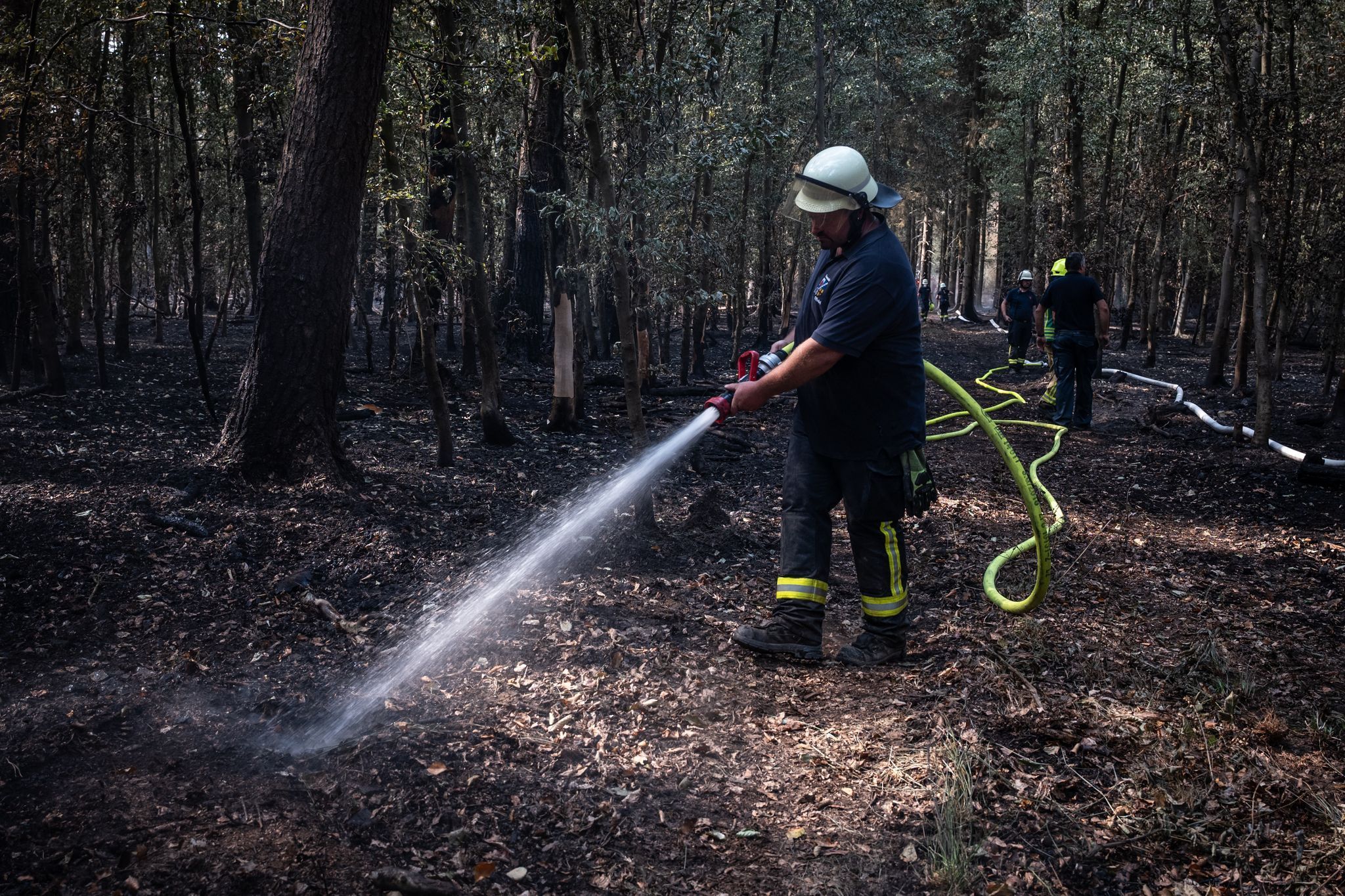 Der Brand im Hürtgenwald in der Eifel war einer der größten in der Geschichte Nordrhein-Westfalens. (Archivbild)