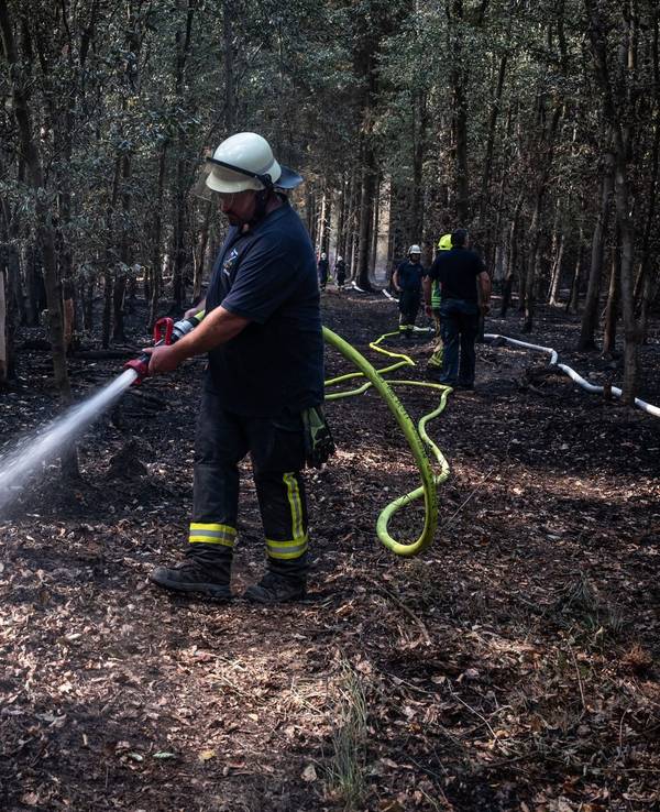 Der Brand im Hürtgenwald in der Eifel war einer der größten in der Geschichte Nordrhein-Westfalens. (Archivbild)