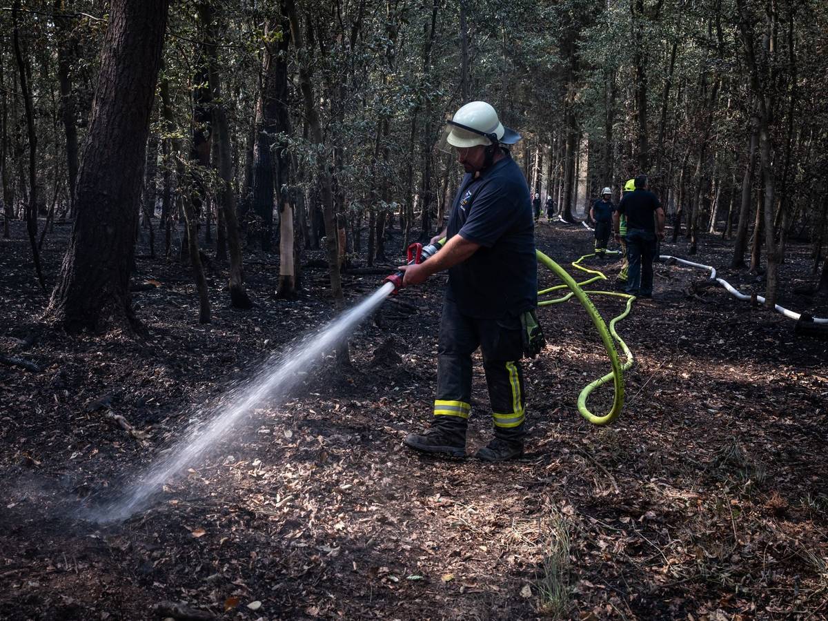 Der Brand im Hürtgenwald in der Eifel war einer der größten in der Geschichte Nordrhein-Westfalens. (Archivbild)