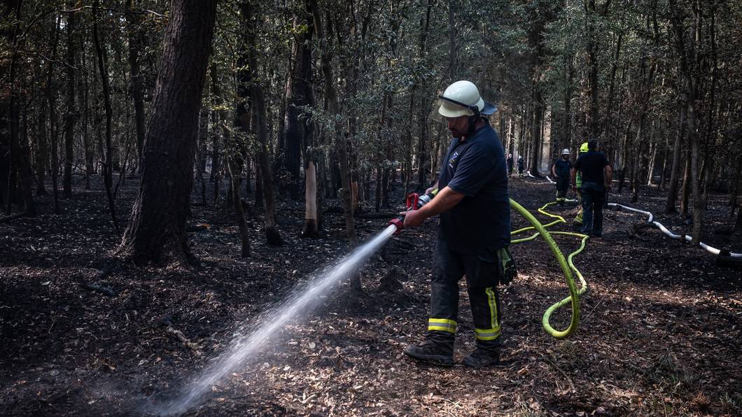 Der Brand im Hürtgenwald in der Eifel war einer der größten in der Geschichte Nordrhein-Westfalens. (Archivbild)