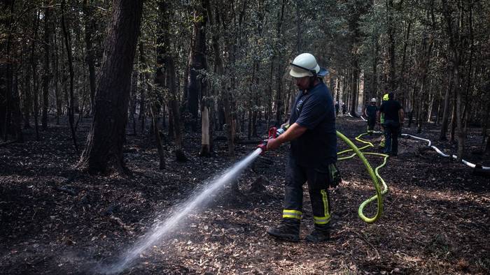 Der Brand im Hürtgenwald in der Eifel war einer der größten in der Geschichte Nordrhein-Westfalens. (Archivbild)