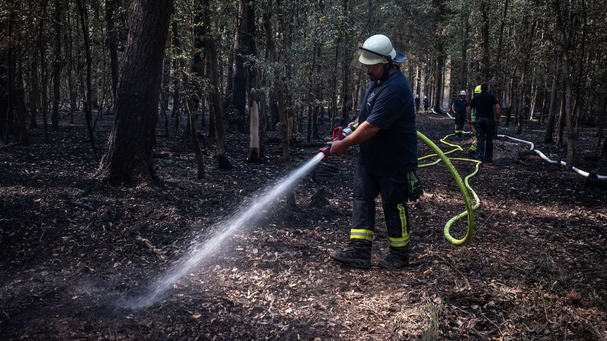 Der Brand im Hürtgenwald in der Eifel war einer der größten in der Geschichte Nordrhein-Westfalens. (Archivbild)