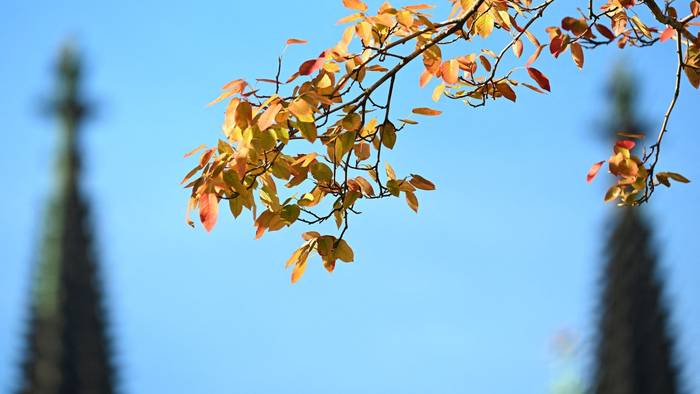 Auch wenn es am Wochenende verregnet bleibt, lassen die Vorhersagen in den nächsten Tagen Hoffnung auf heitereres Wetter zu.
