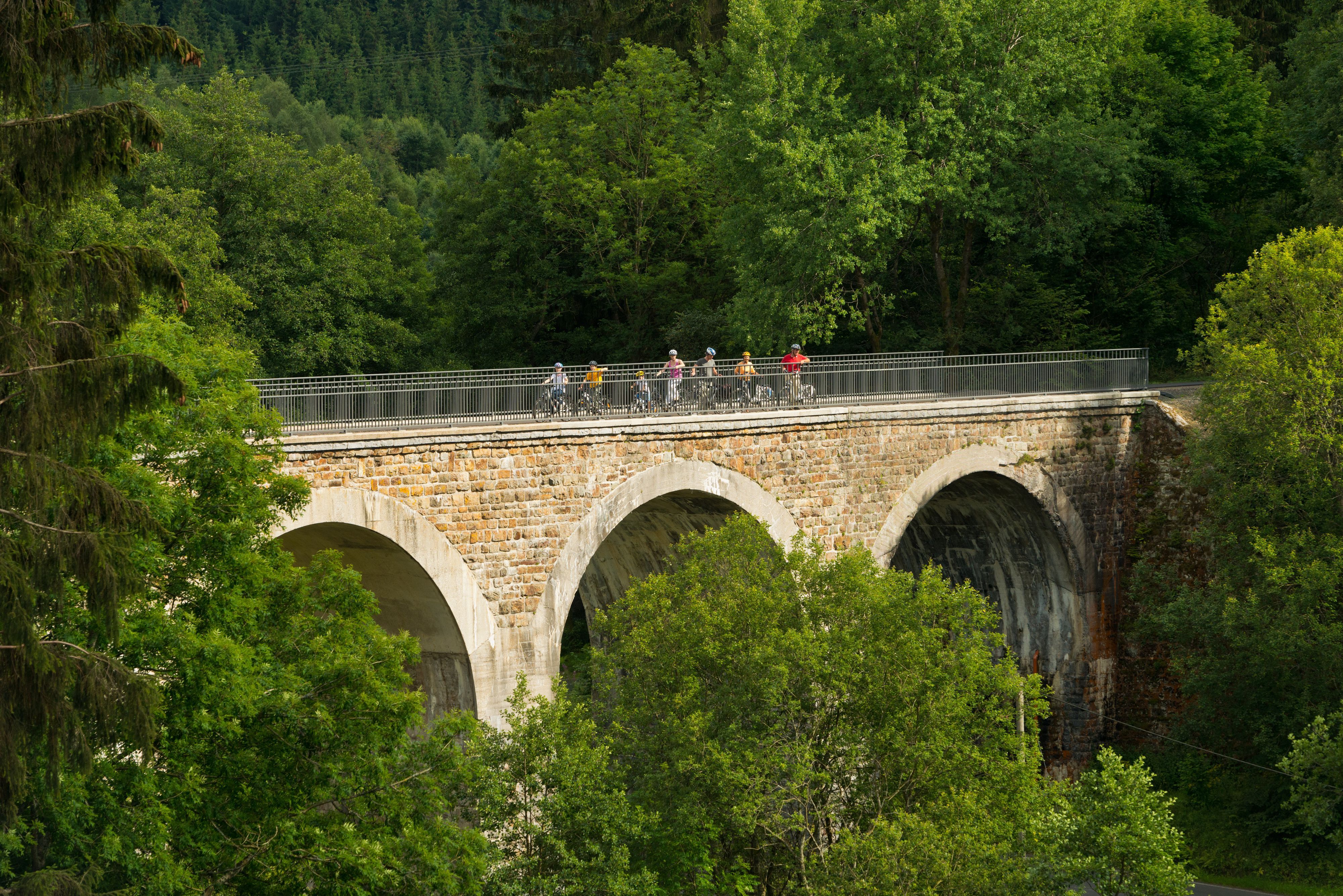 Radtour über die Vennbahn 128 und den Reichensteiner Viadukt