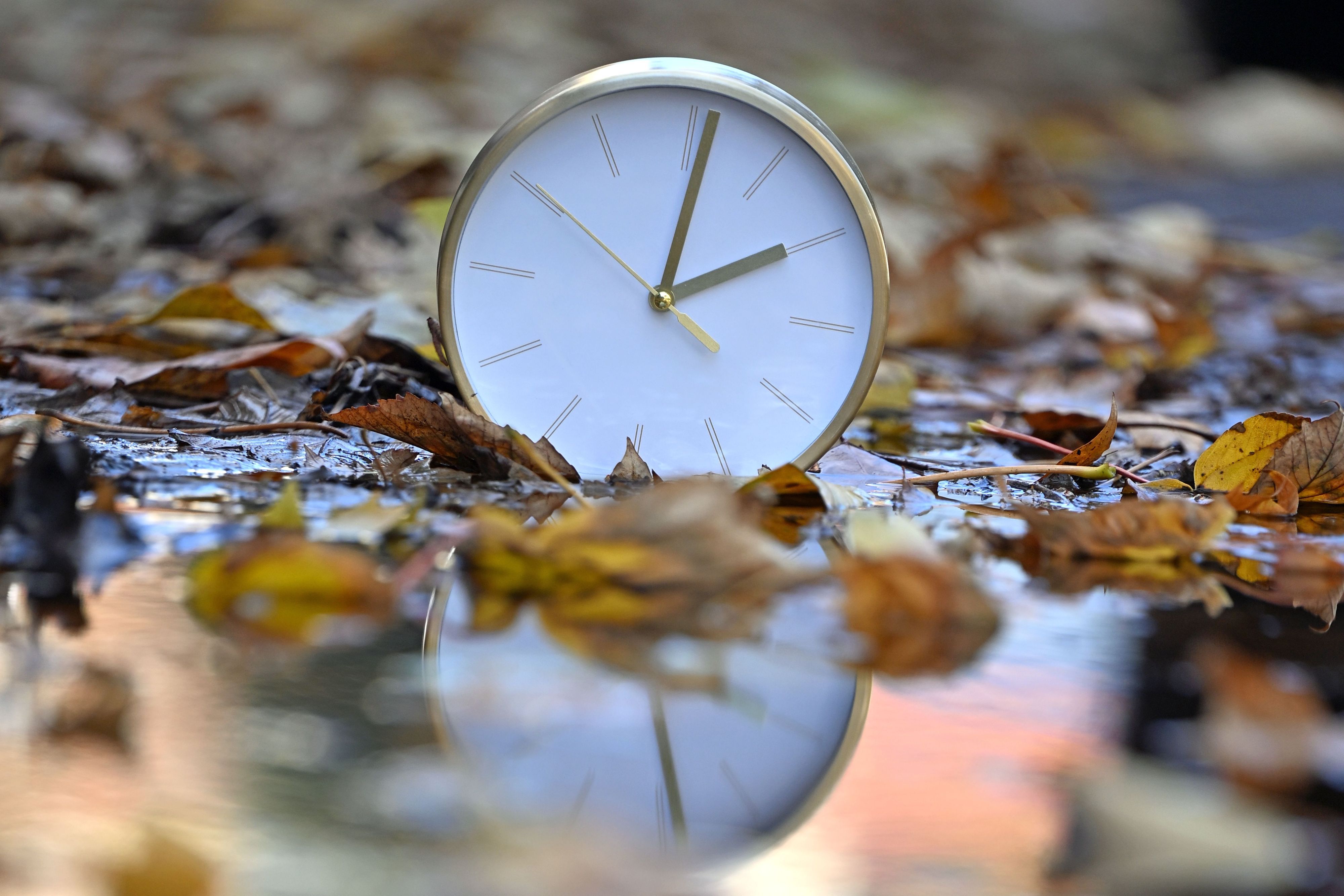 Eine Uhr spiegelt sich im blätterbedeckten Wasser. Mit Beginn der Winterzeit werden in Deutschland und den meisten anderen Ländern Europas am Sonntagmorgen (25. Oktober) die Uhren von 3.00 Uhr auf 2.00 Uhr zurückgestellt.