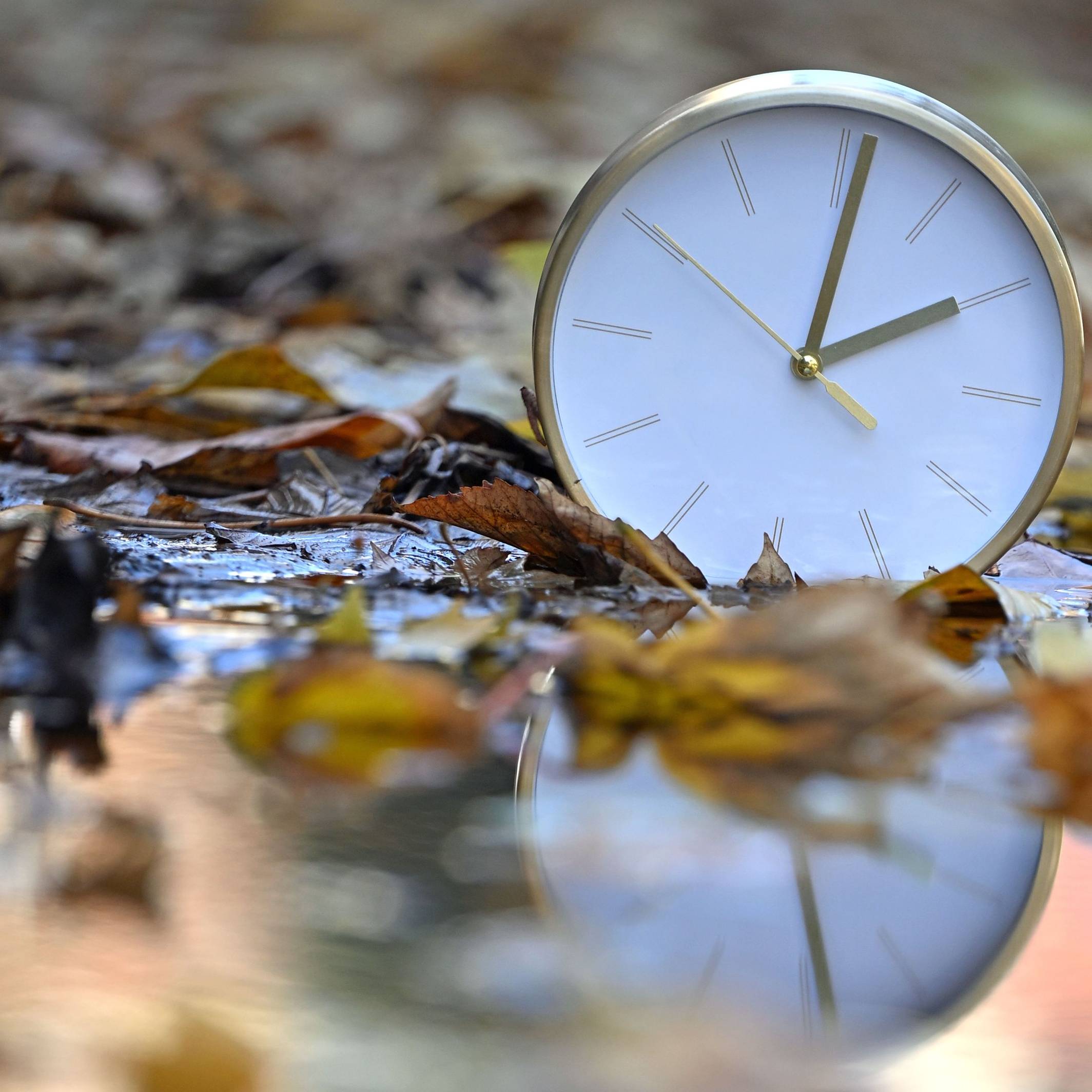 Eine Uhr spiegelt sich im blätterbedeckten Wasser. Mit Beginn der Winterzeit werden in Deutschland und den meisten anderen Ländern Europas am Sonntagmorgen (25. Oktober) die Uhren von 3.00 Uhr auf 2.00 Uhr zurückgestellt.